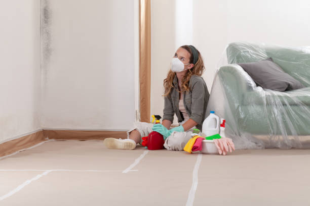 Reliable Black Mold Removal contractor in Colleyville, TX by WQB Mold Removal